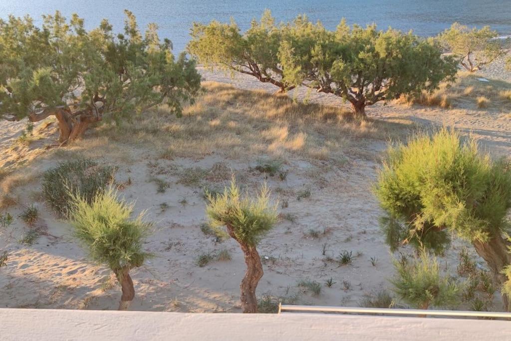 Μοναδική εξοχική κατοικία στην παραλία των Καμαρών Καμάρες Εξωτερικό φωτογραφία